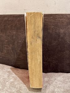 The Spanish Love Deception - Novel