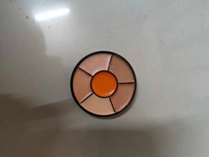 Insight Pro Concealer Palette