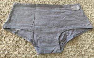 Danskin Intimates Organic Cotton Panty ✨