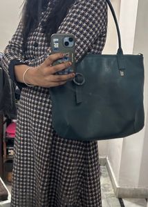 Baggit Handbag