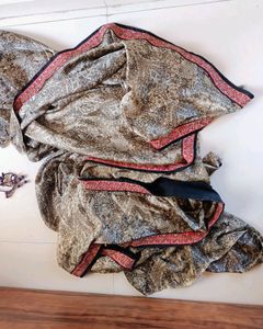 Paisley Print Saree with Blouse