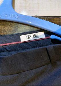 Women Navy Blue Business Suit/ Co ord Set