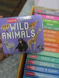 BabyHug Board Books Set