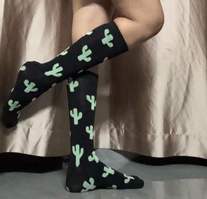 Cute Cactus Pattern Socks