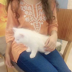 Embroidered Orange Kurti with White Pants
