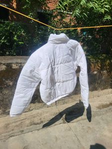 Cropped Puffer Jacket