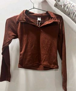 ZARA Brown Ribbed Collared Crop Top