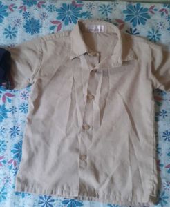 combo of shirt/tshirt