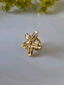 Pick any anti-tarnish adjustable ring