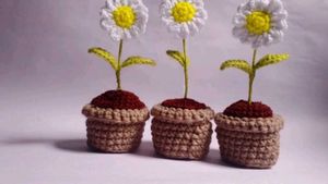 Crochet Daisy Plant Decor