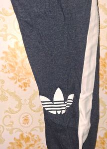 Adidas Joggers for Men