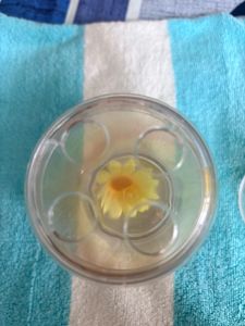 Decorative Sunflower Soap Dispenser