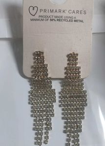 Sparkling Drop Earrings