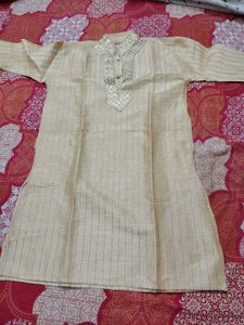 Men's Beige Embroidered Kurta