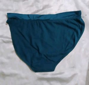 Comfortable Teal Briefs