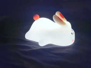Cute Bunny Colour Changing Lamp (10 different shad