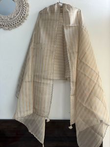 Golden Dual shade Shimmer tissue silk Sharara set