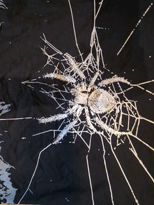 Spider Web Graphic Black T-Shirt