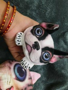 Cute Plush Cat and Dog Set