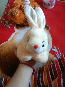 Soft Toy