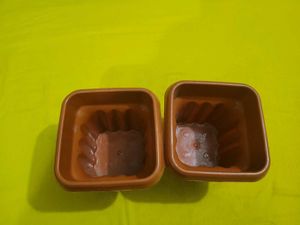 Brown Plastic Plant Pots (Set of 2)