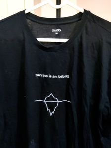 unisex zudio tshirt (success is an iceberg)
