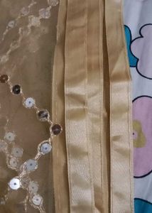 Embellished Net Dupatta