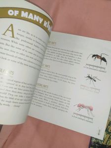 Children's Story Books Short Stories