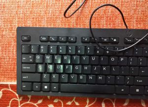 HP Wired Keyboard
