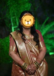 Elegant Silk Saree golden brown