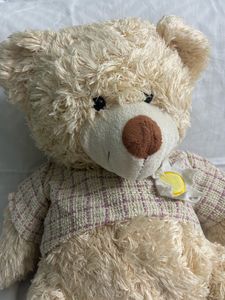 Teddy Bear Premium Quality Plush Toy