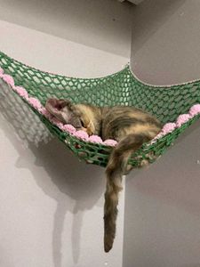 Handmade Hammock