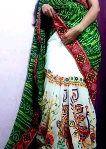Colorful Embroidered Saree