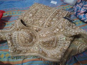 Elegant Embellished Saree set