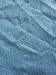 Teal Blue dinosaur Textured T-Shirt