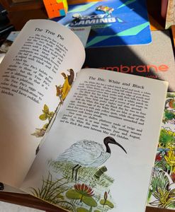 Bundle of 7 Classic Children's Books