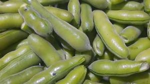 10 Seed