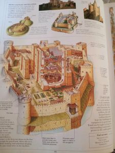 Children's Encyclopaedia