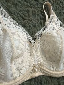 new Wacoal Lace Padded Bra
