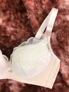 Elegant Lace Padded Bra