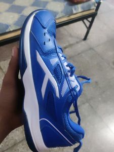 Brand New Badminton Shoes Uk05