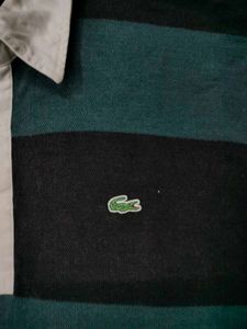 Lacoste pre-winter tshirt
