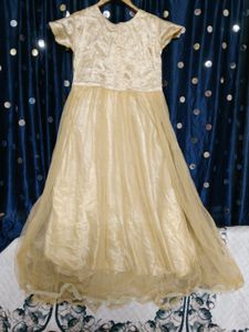 Elegant Gown Dress