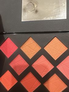 PAC Take Cover Blusher