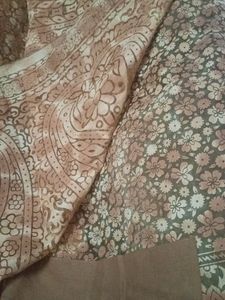 Beautiful Cotton Organza Saree