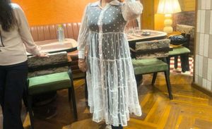 Polka Dot Sheer dress