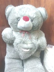 Big Teddy Bear