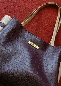 Stylish Carrylux Tote Bag