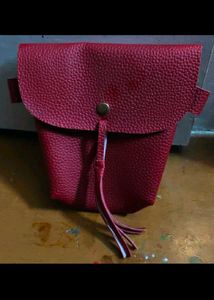 Cute Black Crossbody Bag with Red Flower Combo