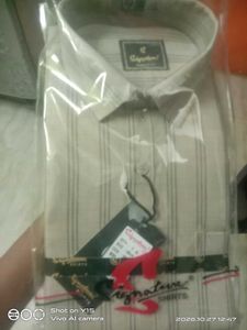 Signature slim fit  Shirt
